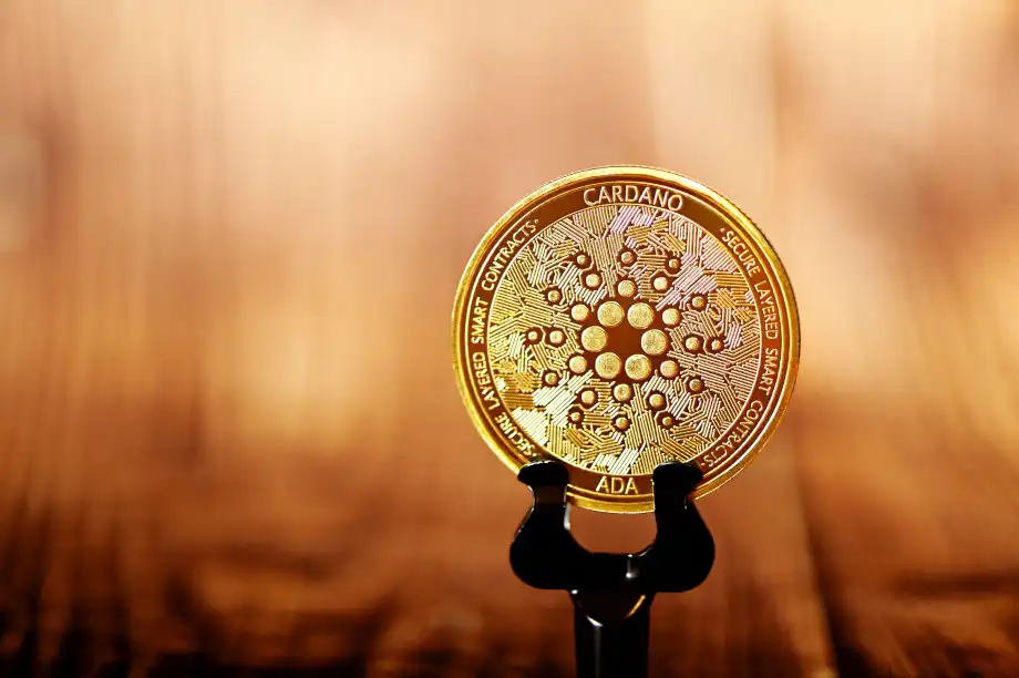 Cardano -ADA- Nedir?