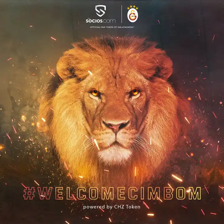 chz galatasaray coin token