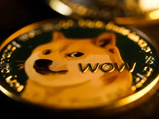 doge coin yorum