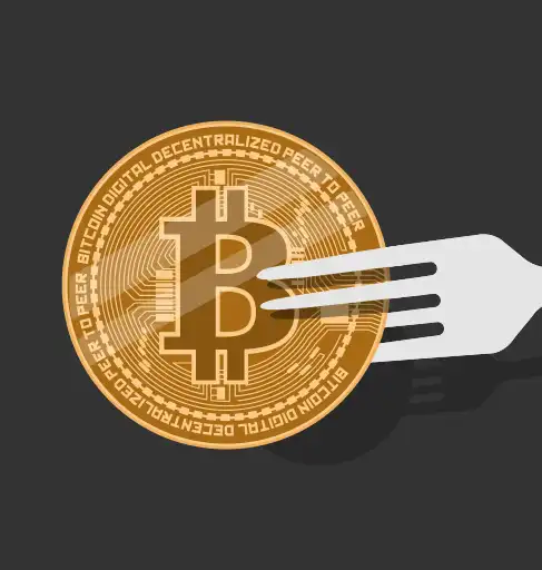 alonzo hard fork