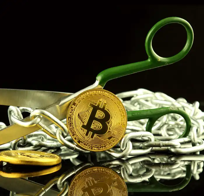 hard fork nedir ne demek