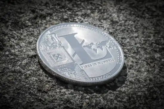 litecoin riskli mi