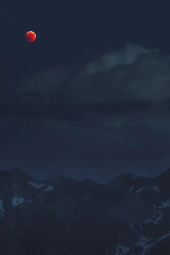 luna nereden alınır