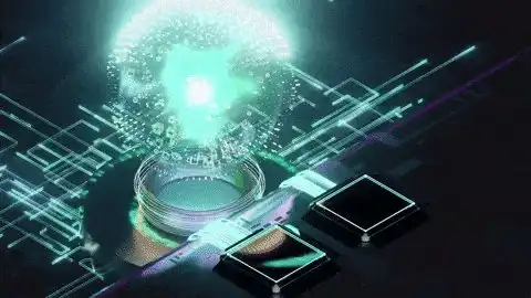 mkr coin hangi ülke