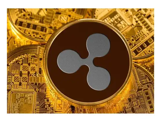 xrp davası